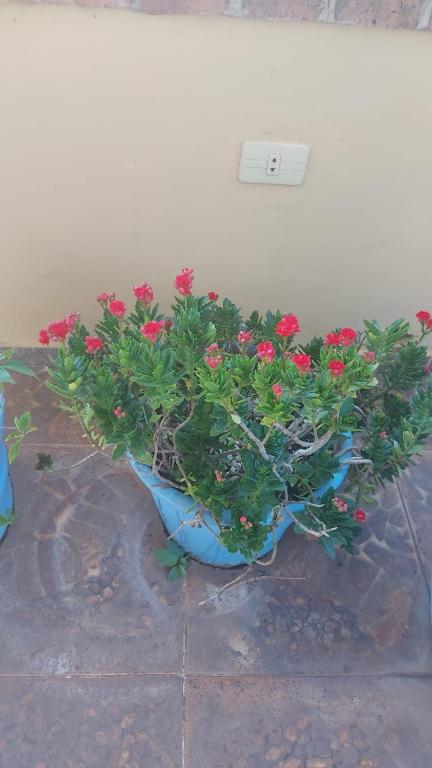 A 1 cuadra y media del Botánico, Asunción - 3