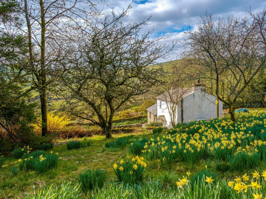 Waingap Cottage, Crook