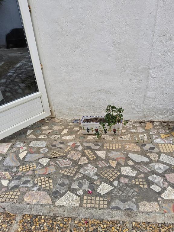 L'espadon du port, air conditioning, terrace, sea, 5 people - 5