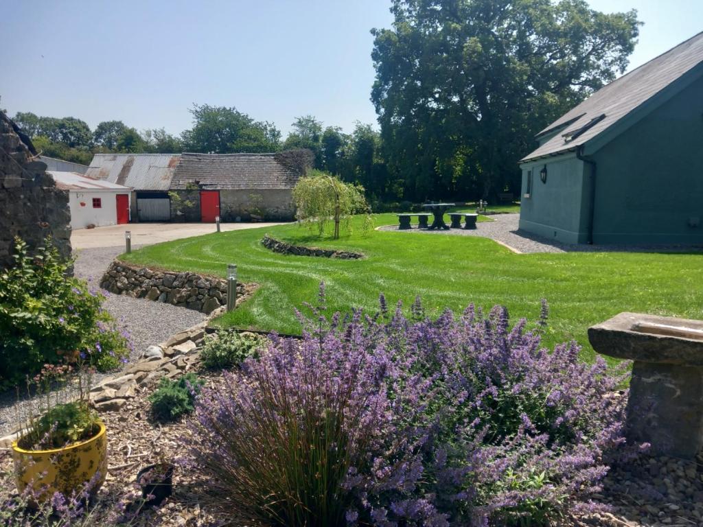 Hemma Grove - A Songbird haven, Kilkenny