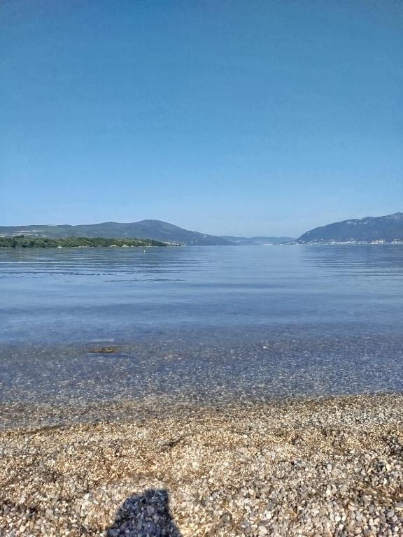 Apartment Jankovic - 2