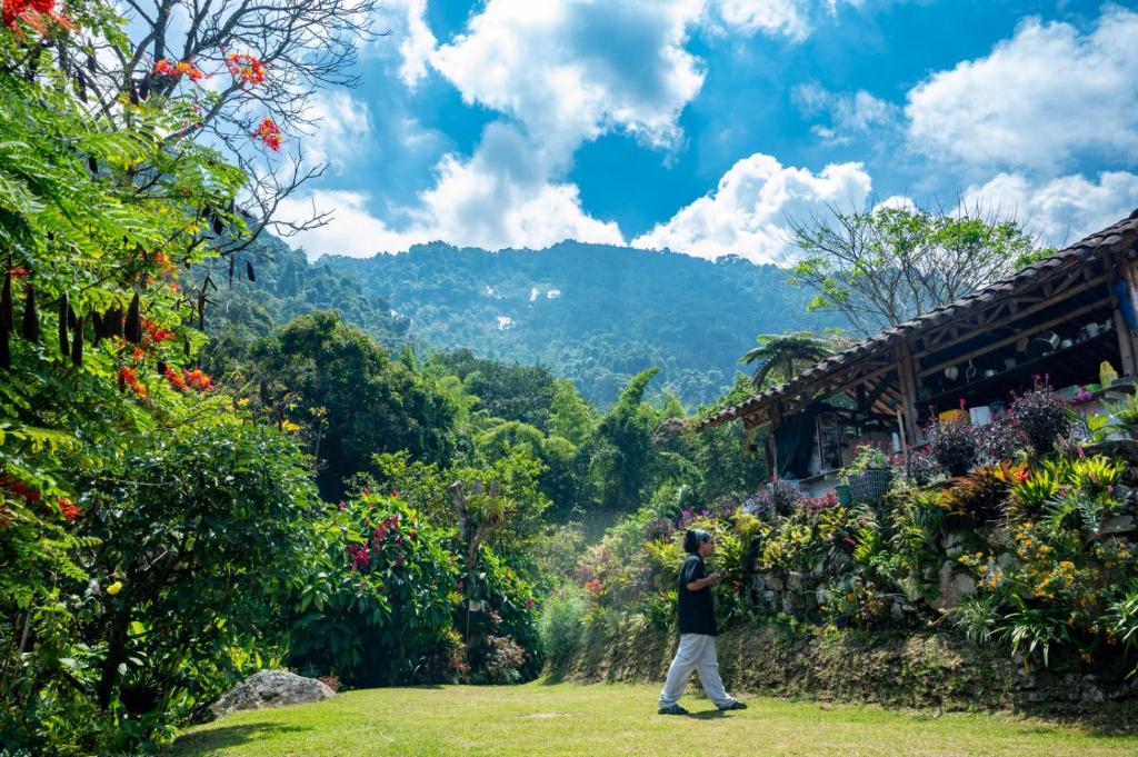 Ecohotel Bellavista Pance - 5