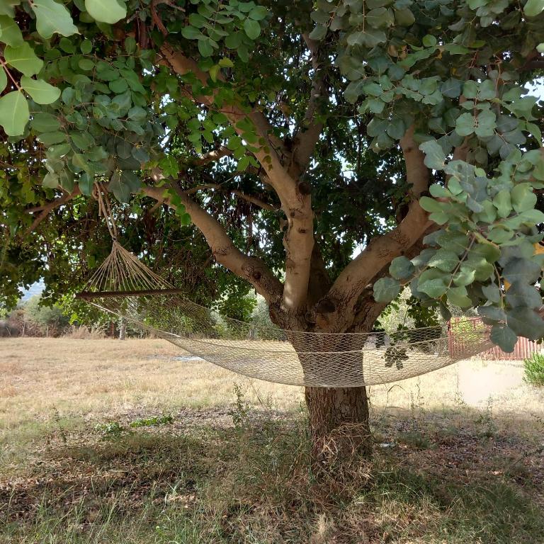 Dimore del Carrubo Villa Ovest - 2