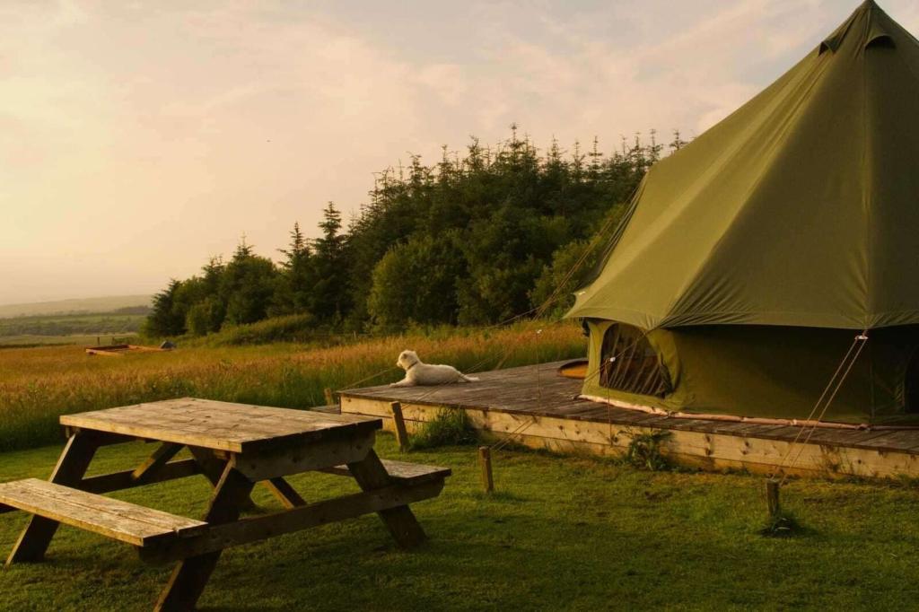 Moleshill Retreat Wild Spa and Glamping space, Llanon