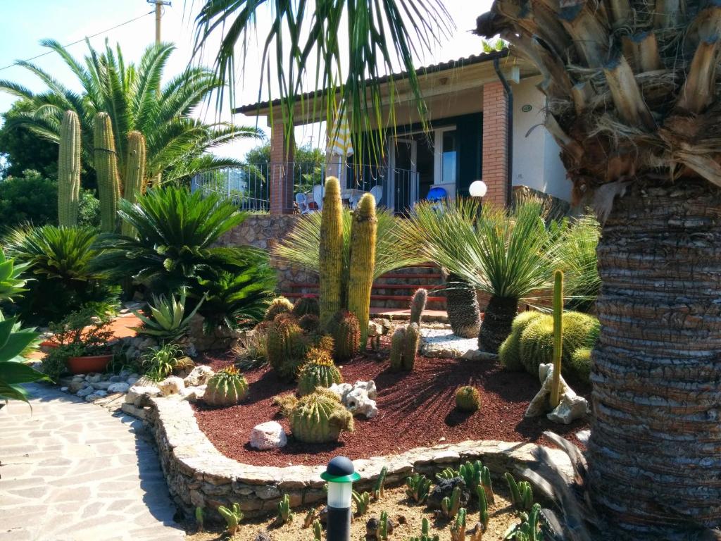Residence Cala dei Peducelli - 5