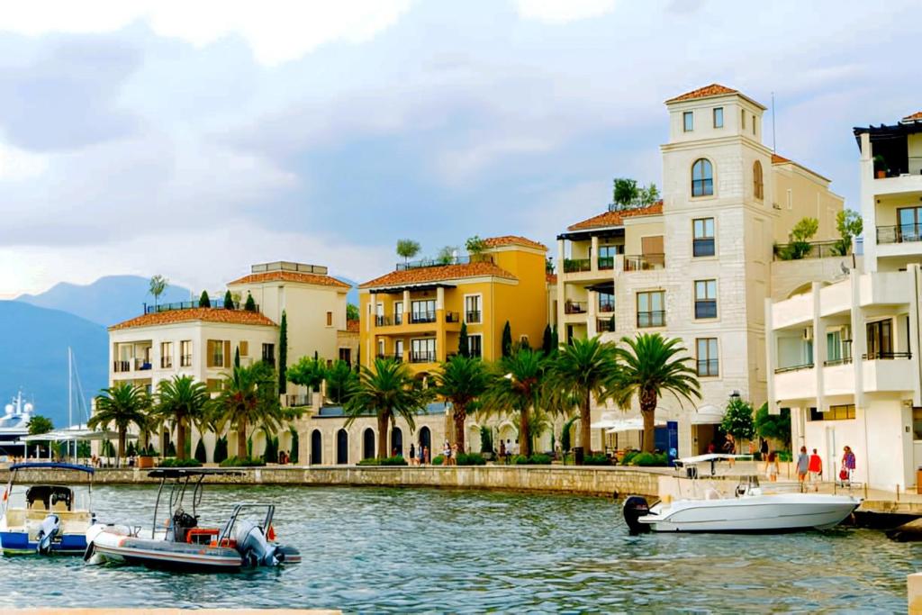 Exclusive Apartments in Porto Montenegro - 1
