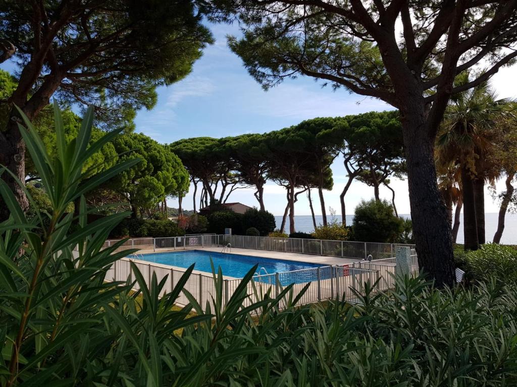 Appartement 3 pièces climatisé avec terrasse à Sainte-Maxime - FR-1-780-62 - 4