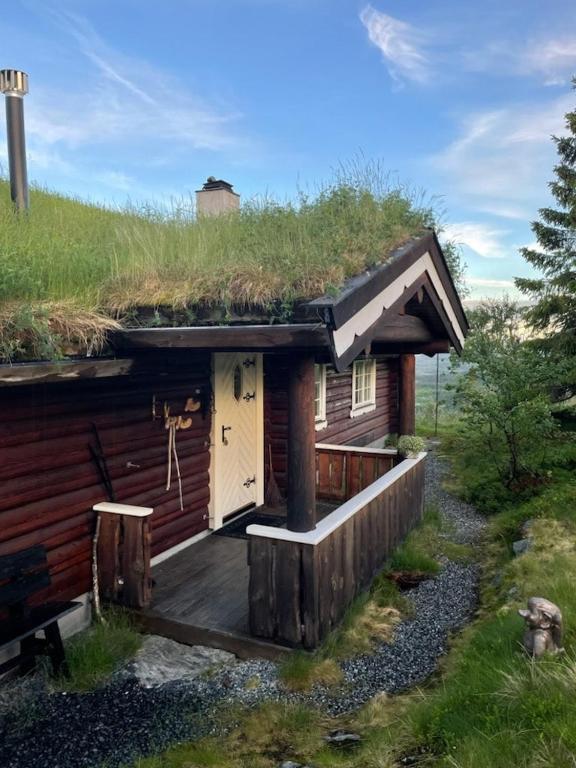 Cozy, Magical Mountain Cabin With Trails, Etnedal