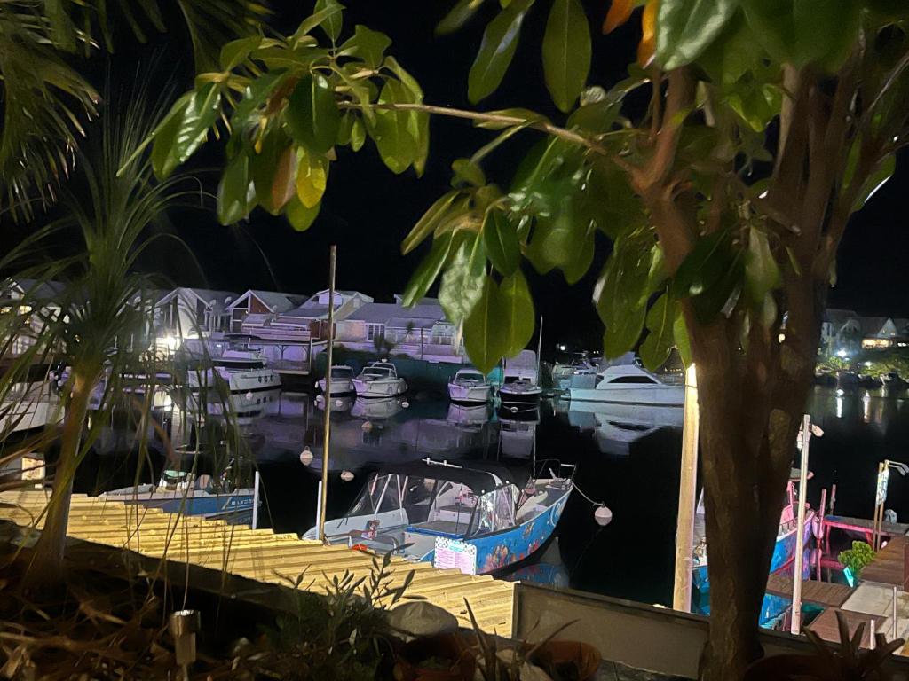 YATCH view II, Pointe-à-Pitre
