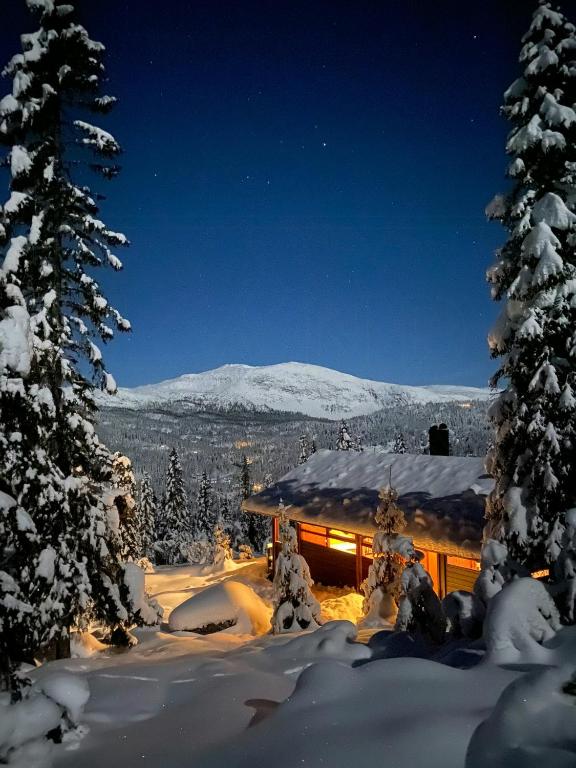 Architectural Gem Near Cross Country Trails, Eggedal