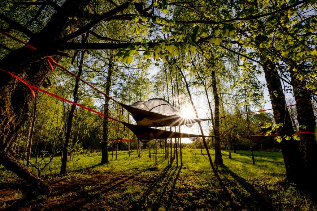 Teltis Liepās, Puša