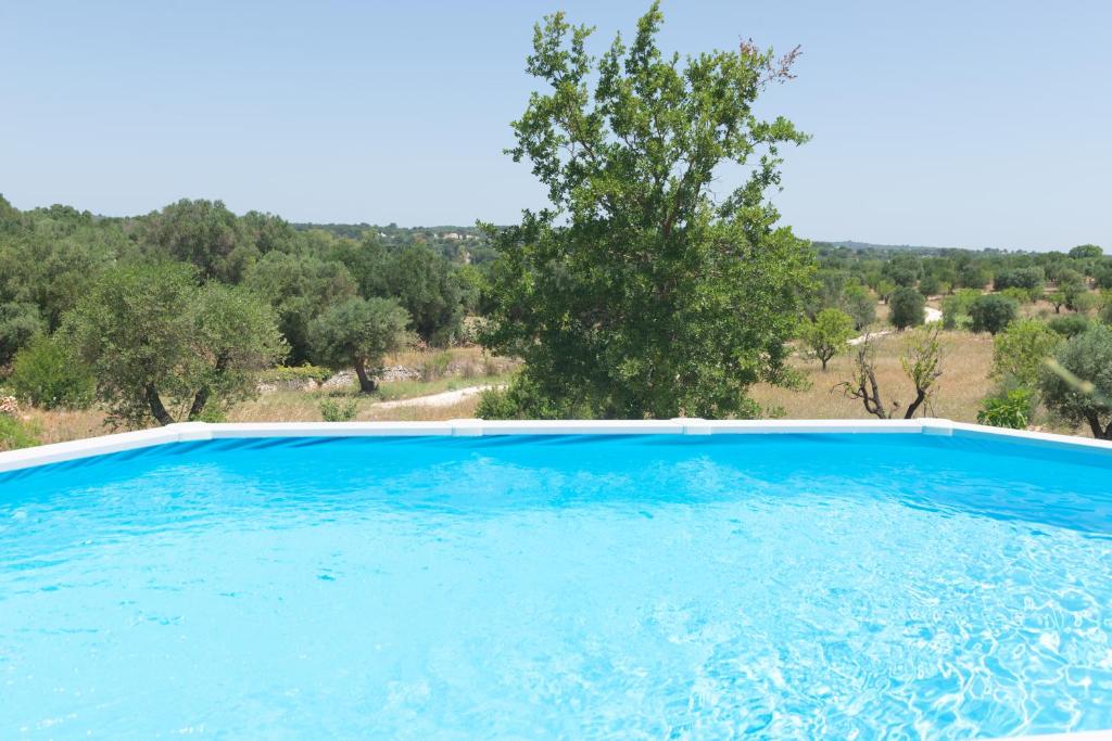 Trullo Stella with exclusive pool - 4