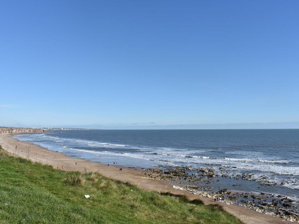 The Hawthorns, Seaham