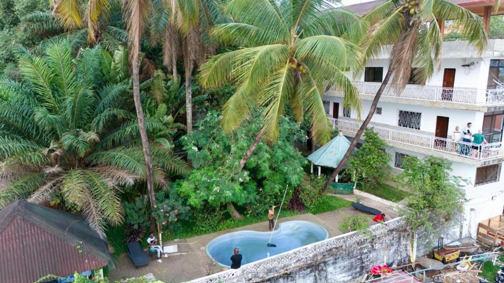 Pension Les Palmiers