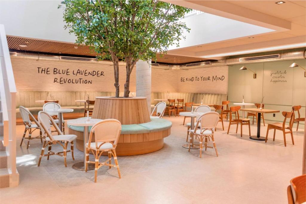 فندق ناسو سويت (Nassau Suite Hotel)