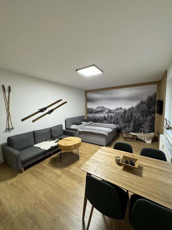 Apartmán Horálek, Janské Lázně