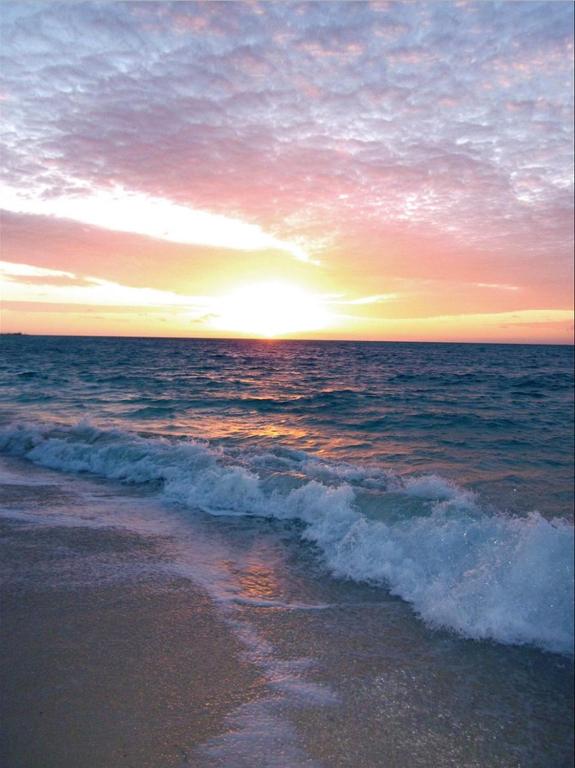 The Blue Inn Family Vacation Rental