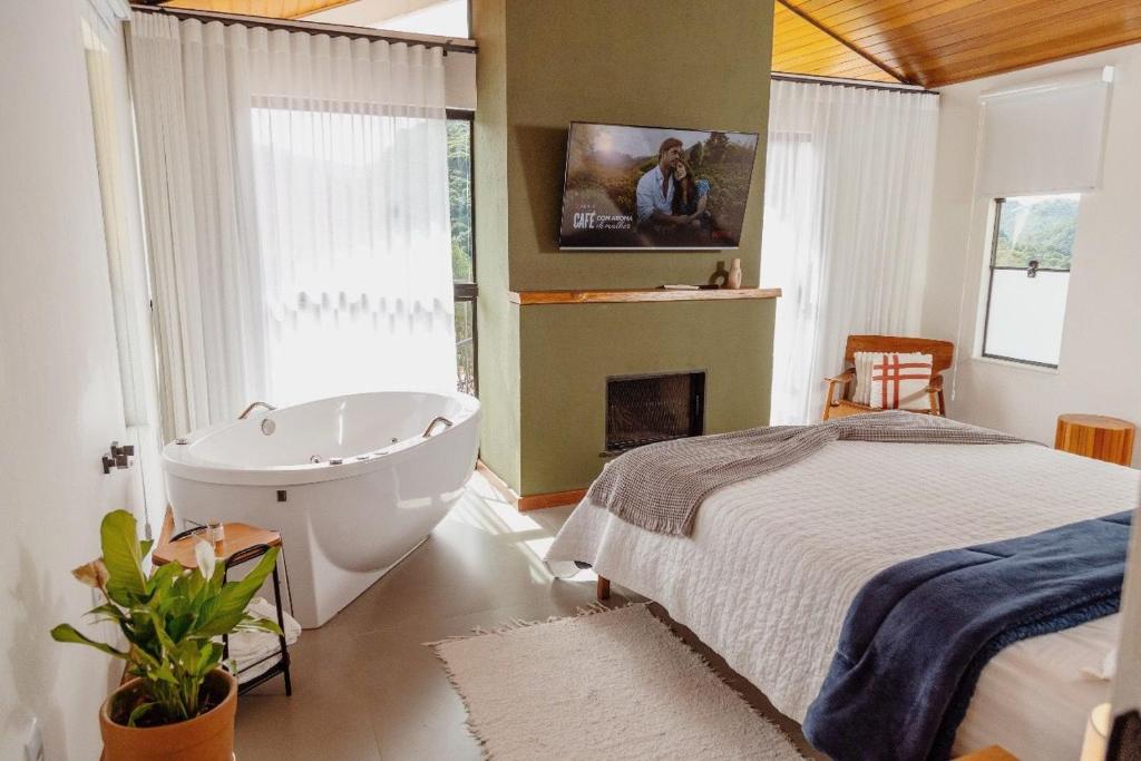 Encontro dos Vales, Visconde de Mauá