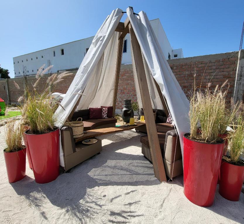 El Santuario Paracas - 2