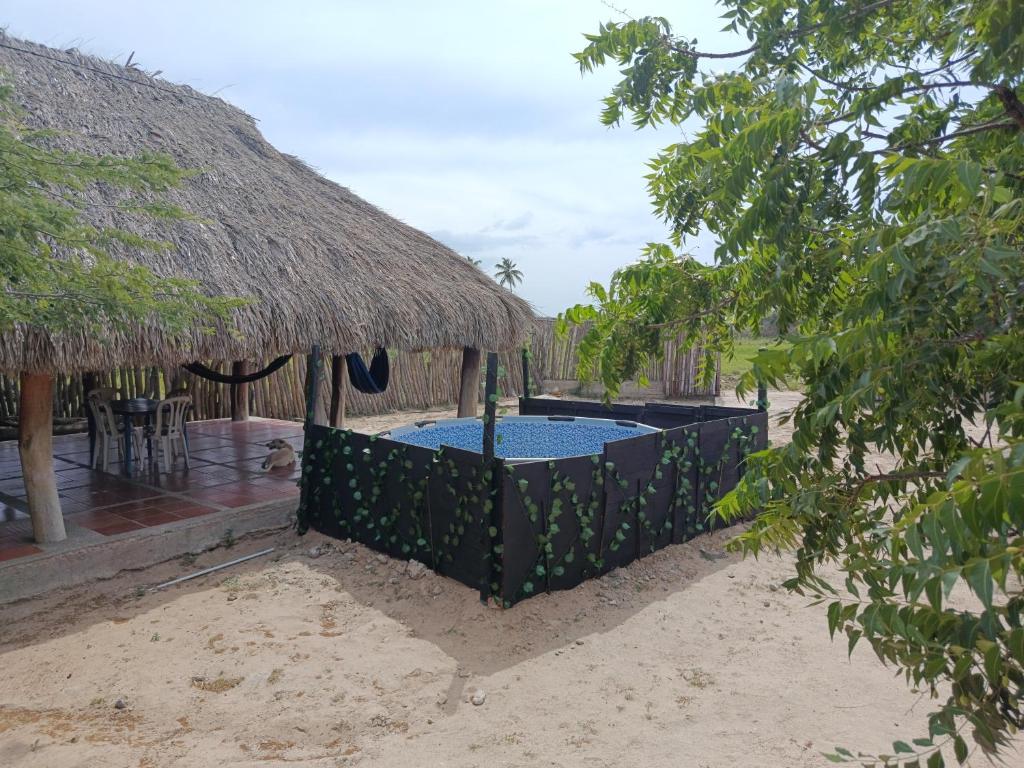 Hostal CQ Camarones - 3