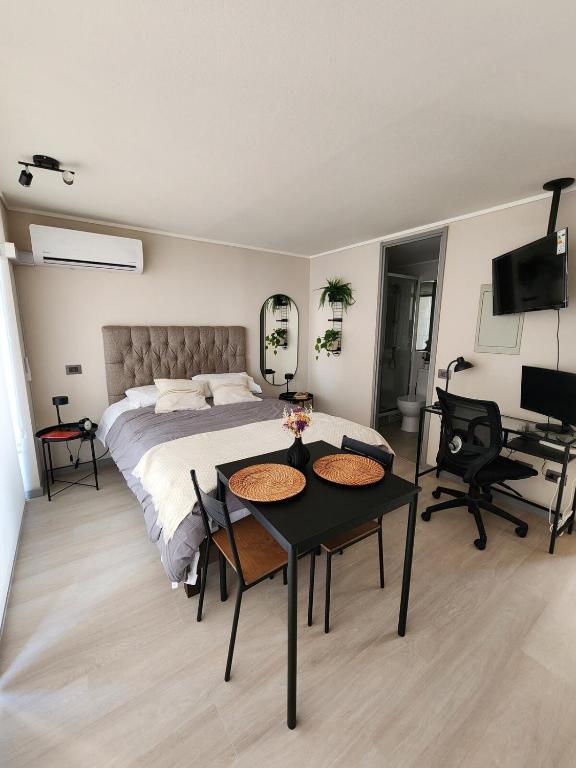 Studio in the heart of Santiago, Santiago