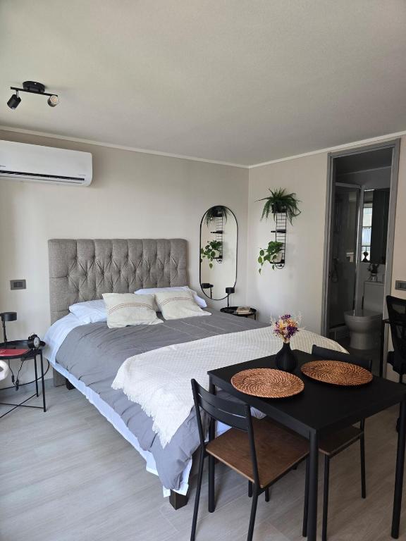 Studio in the heart of Santiago - 3