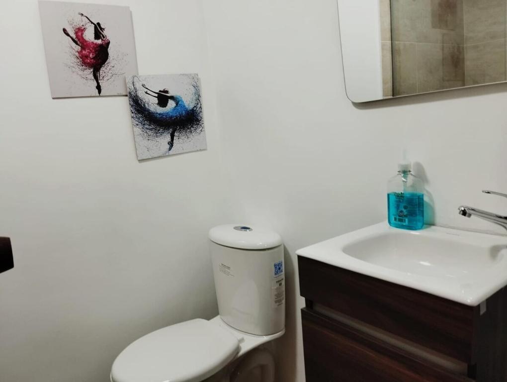 Comfortable and spacious apartment in Chico - 4