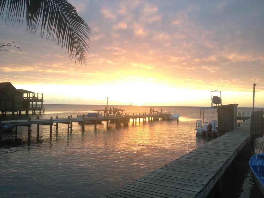 Splash Inn Dive Resort & Villas Hotel (Roatan Island) Deals, Photos