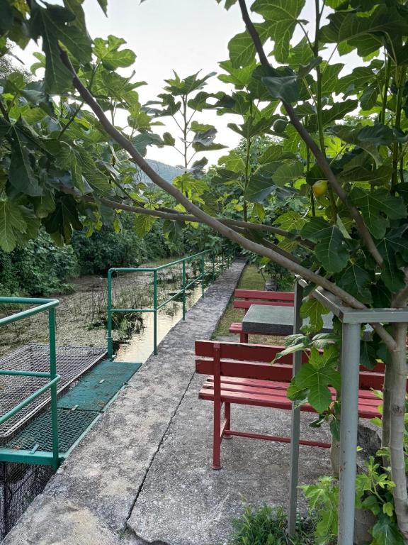 Apartman Pehar - 4