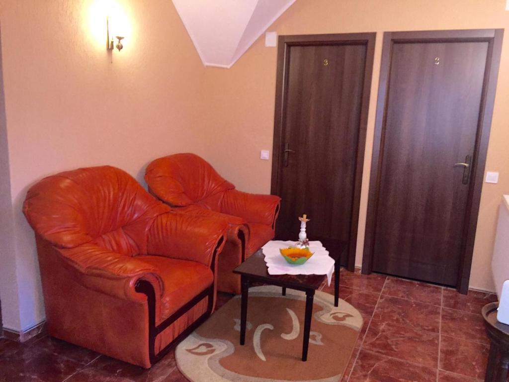 Vila La Izvor photo