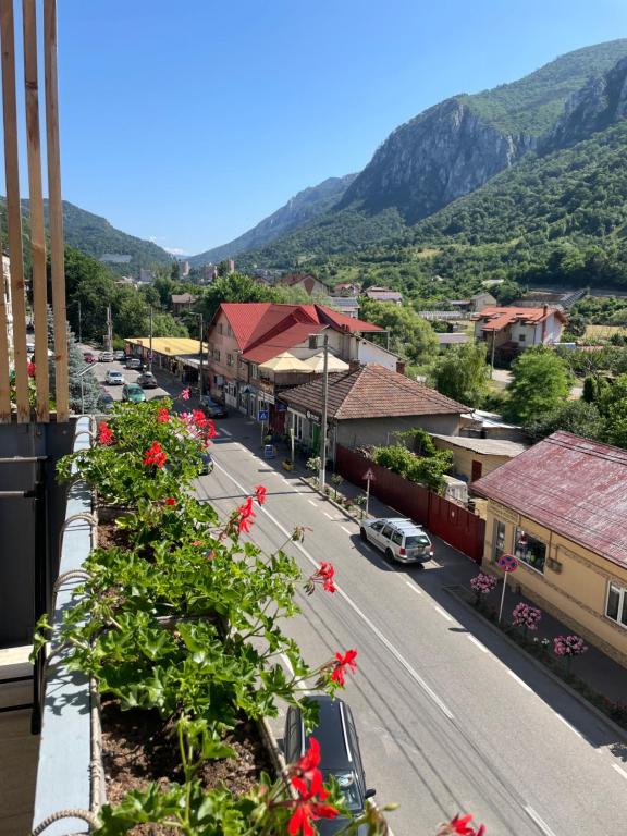 Belvedere, Băile Herculane