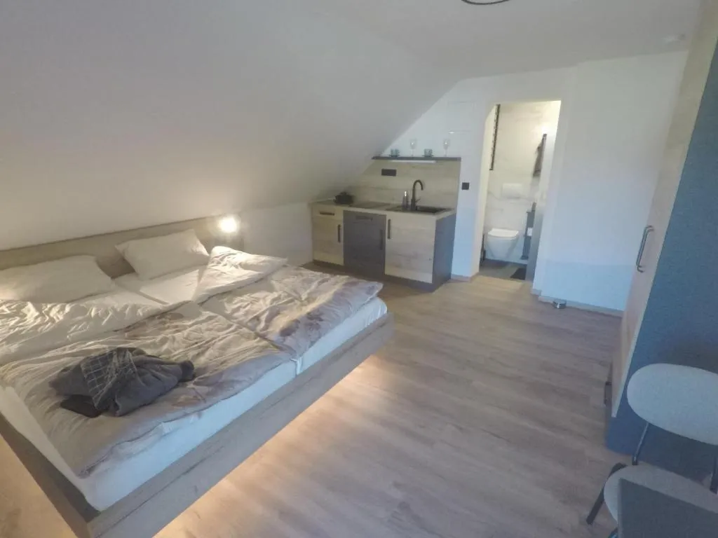 MaxLux Apartments, hotel in Slovenj Gradec