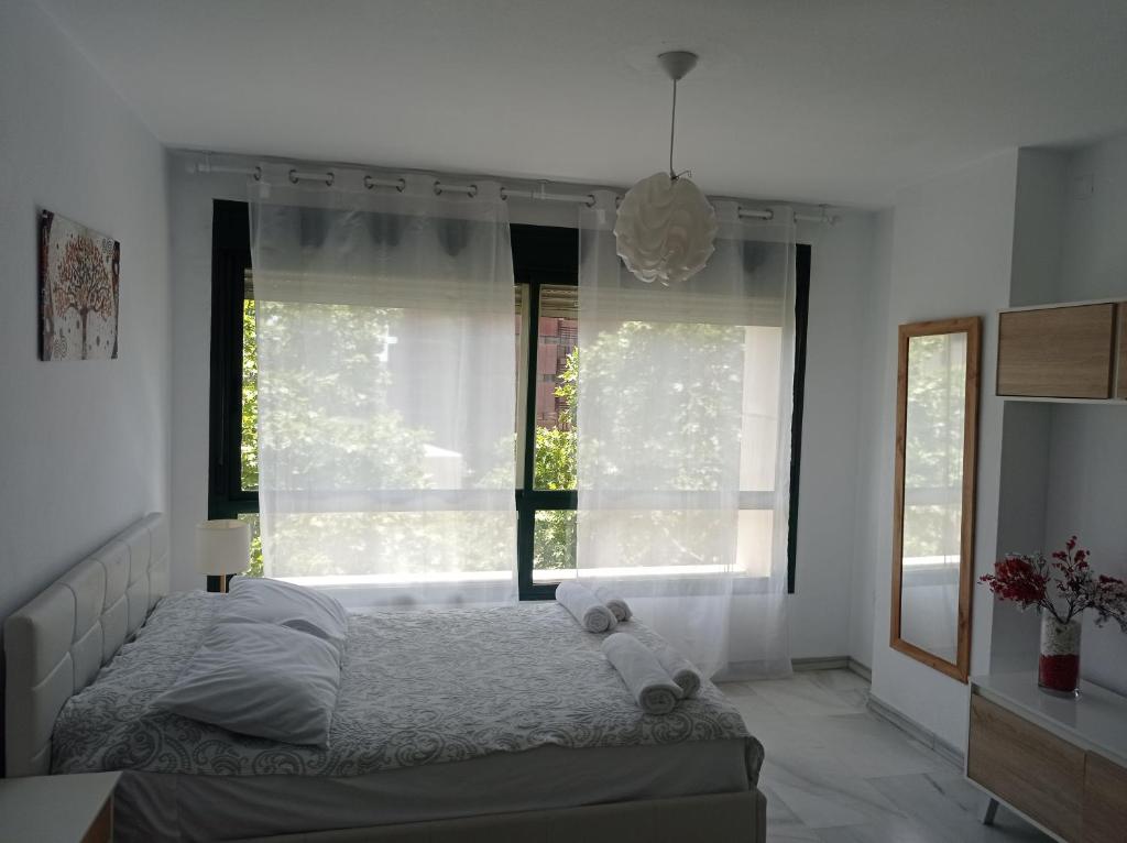 Estudio Cosmopolita, Marbella