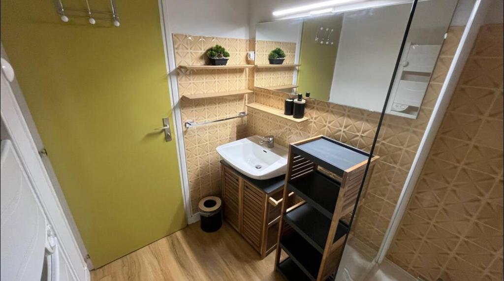 Appartement aux pieds des pistes - 3