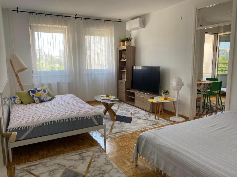 Arena 011, Novi Beograd