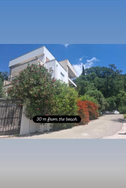 Apartments Villa Simonovic - 1
