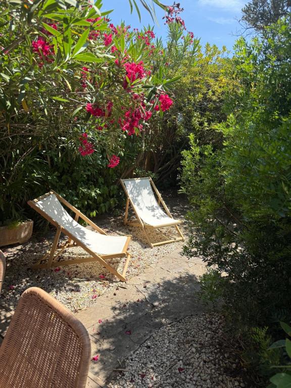 Petite maison cocooning classée 3 étoiles à Bormes les mimosas - 3