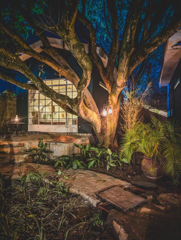 Muti Entebbe, Entebbe