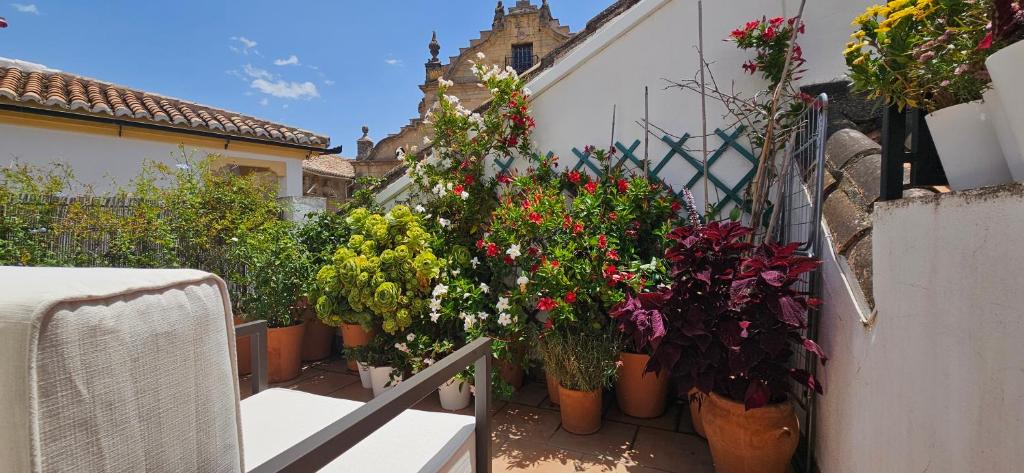 Apartamentos Los Descalzos Ángel With Private Terrace Free Parking - 4