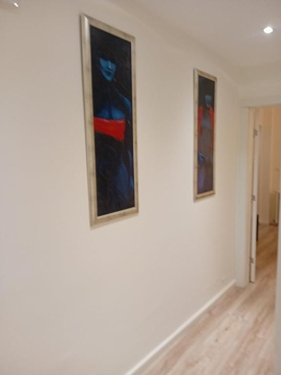 Senjak residence, apartment near Belgrade waterfront - 4