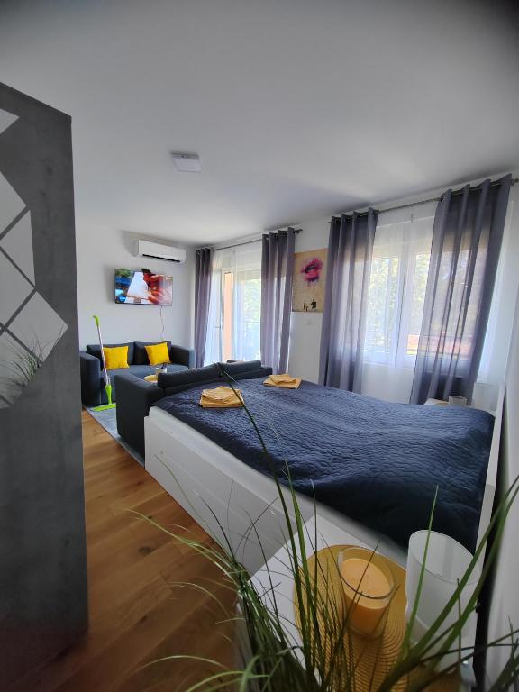 OgiApartman, Vrnjačka Banja