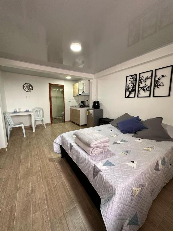 Apartaestudios Santa Ana - 1