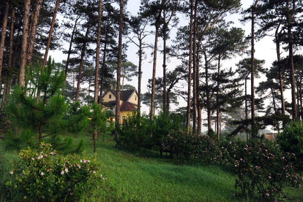 Surrounding environment