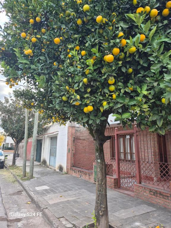 La Churita - 4