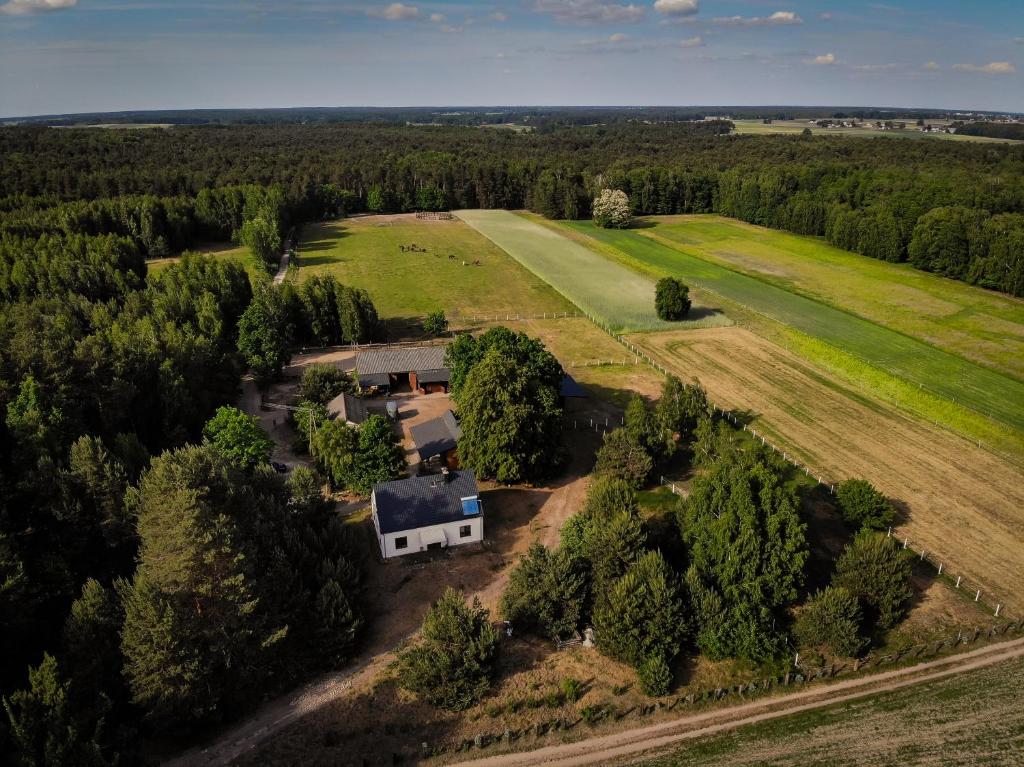 Kolorowe Wzgórze agroturystyka i konie, Trojanów
