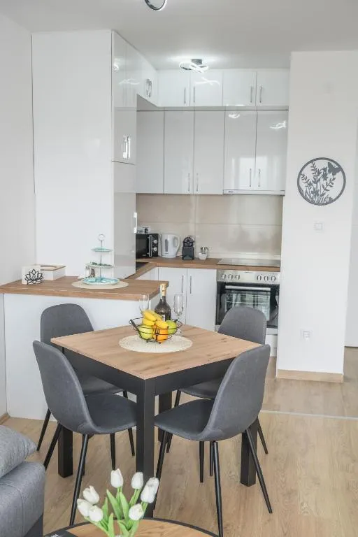 Apartman TRI KRALJA 2, hotel v destinaci Banja Koviljača