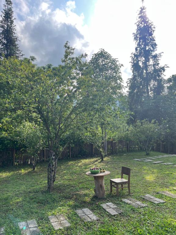 Ly Ta Quan Homestay