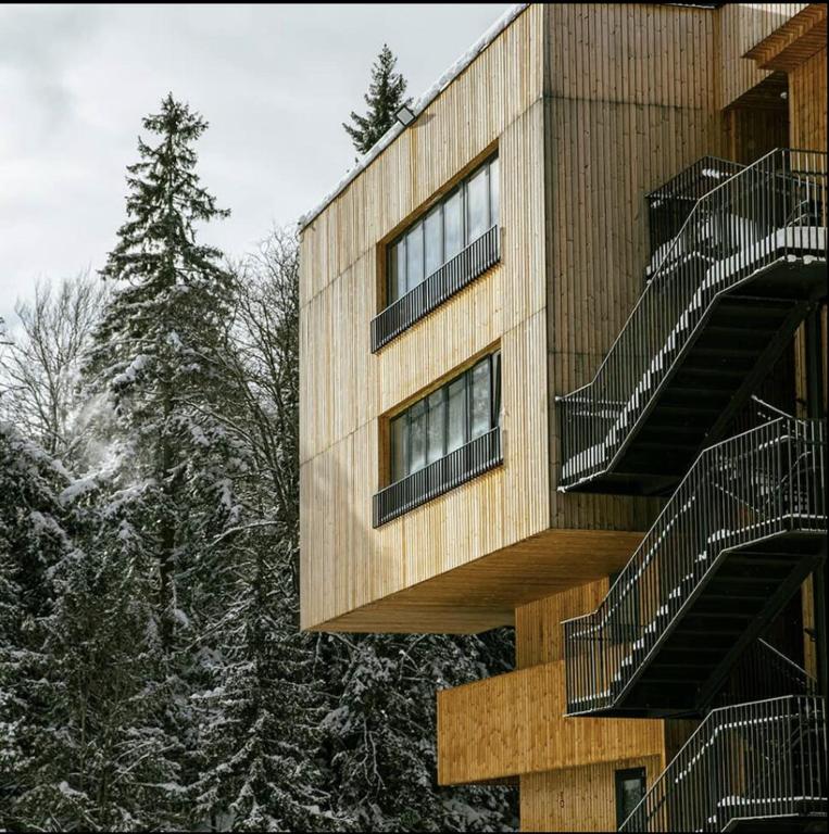 Kokhta-Mitarbi Resort, Apartment B3,206, Bakuriani