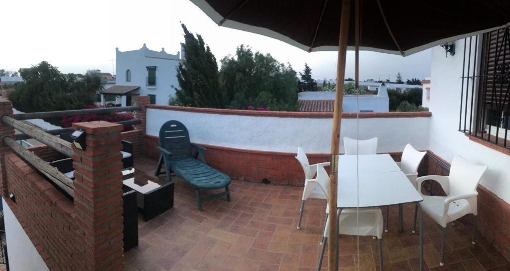 Conil, descanso en la dehesa - 2