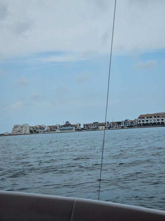 L'espadon du port, air conditioning, terrace, sea, 5 people - 2